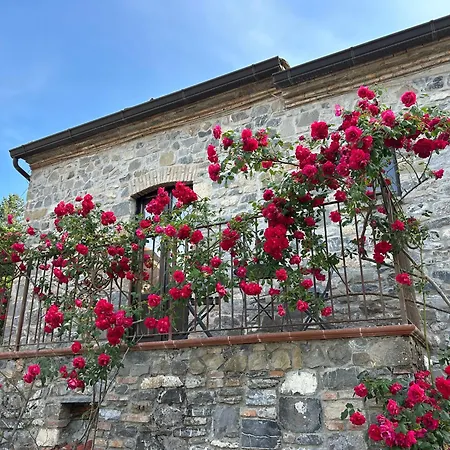 La Residenza delle Rose-2